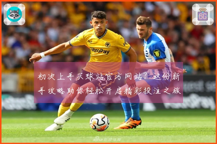 初次上手买球站官方网站？这份新手攻略助你轻松开启精彩投注之旅