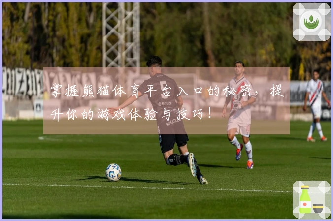 掌握熊猫体育平台入口的秘密，提升你的游戏体验与技巧！
