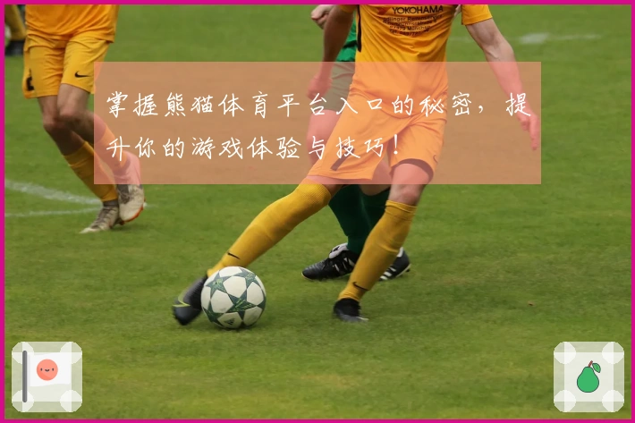 掌握熊猫体育平台入口的秘密，提升你的游戏体验与技巧！