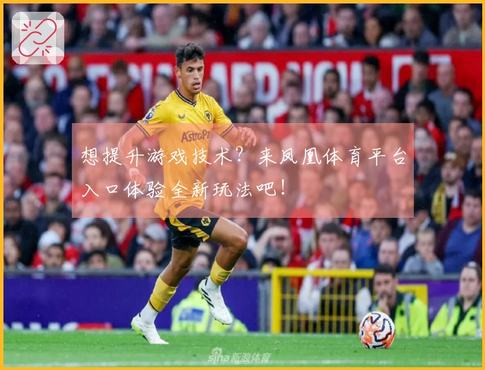 想提升游戏技术？来凤凰体育平台入口体验全新玩法吧！