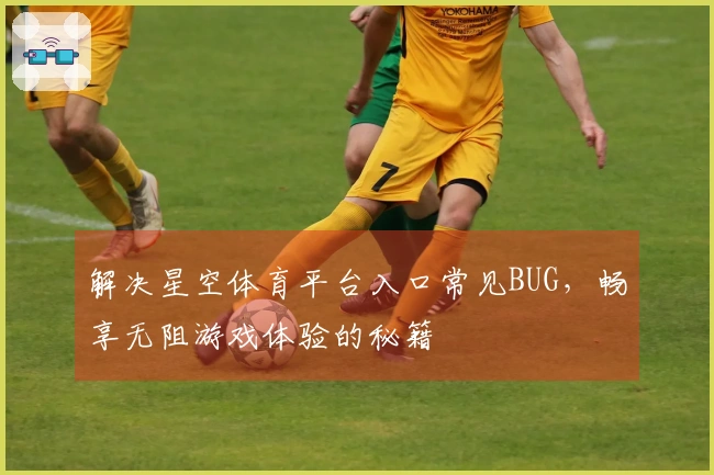 解决星空体育平台入口常见BUG，畅享无阻游戏体验的秘籍